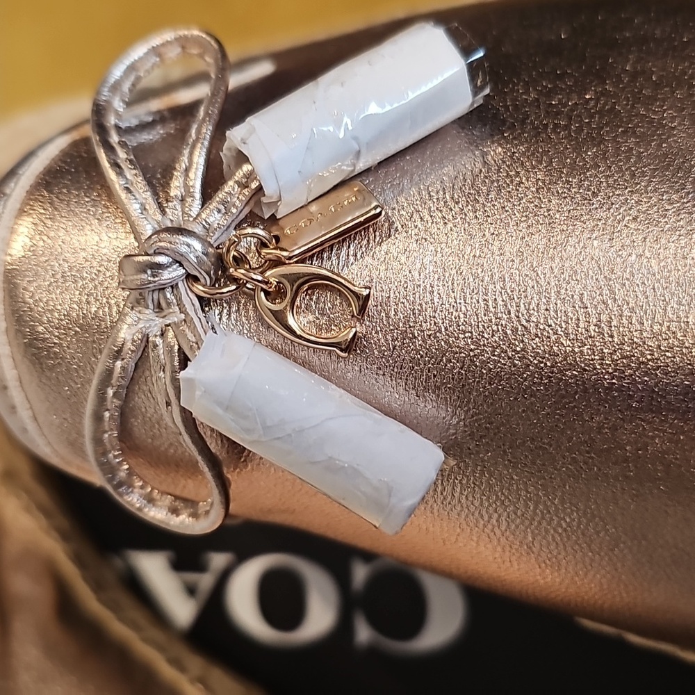 Coach Cassidy Metallic Champagne Esparadilles Sz 8 NIB MSRP $178 - Picture 3 of 7